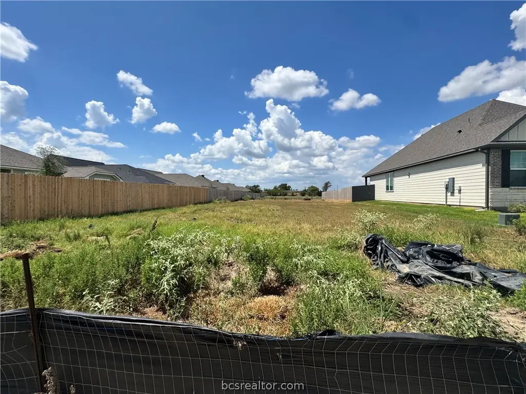 1536 Birdie Court, Navasota, TX 77868 - #1