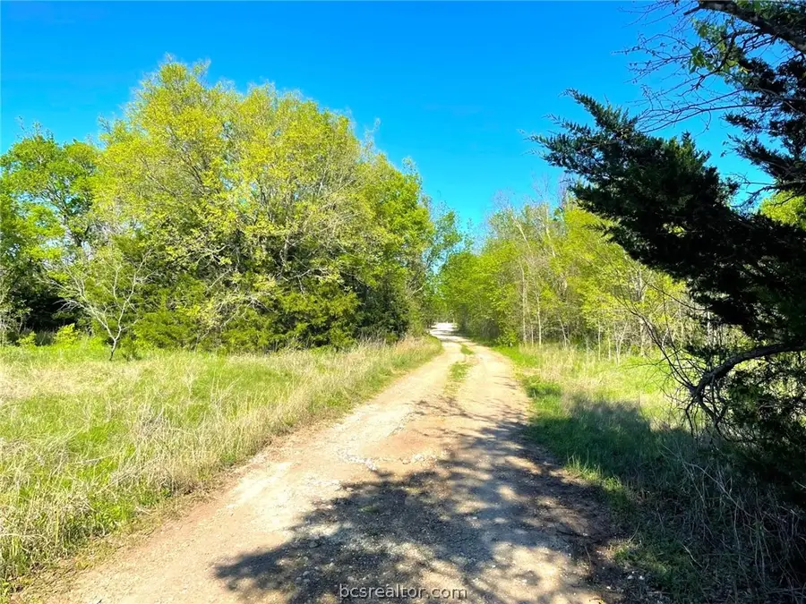 Lot 15 Hill County Road 3352, Hubbard Mount Calm, TX 76648 - #3