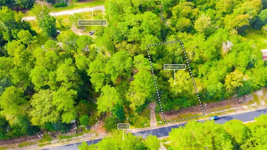 Lot 12 17th Street, Ivanhoe, TX 75979 - #2