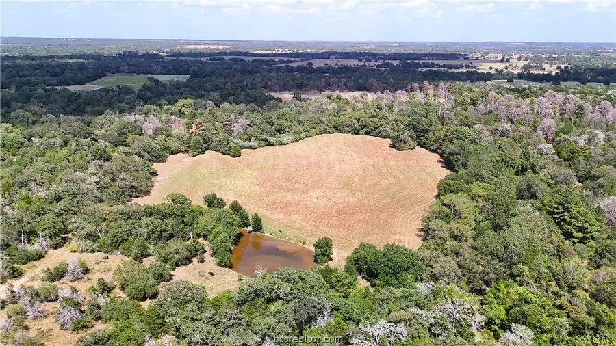 TBD Saint Delight (tracts 8 & 13) Road, Paige, TX 78659 - #2