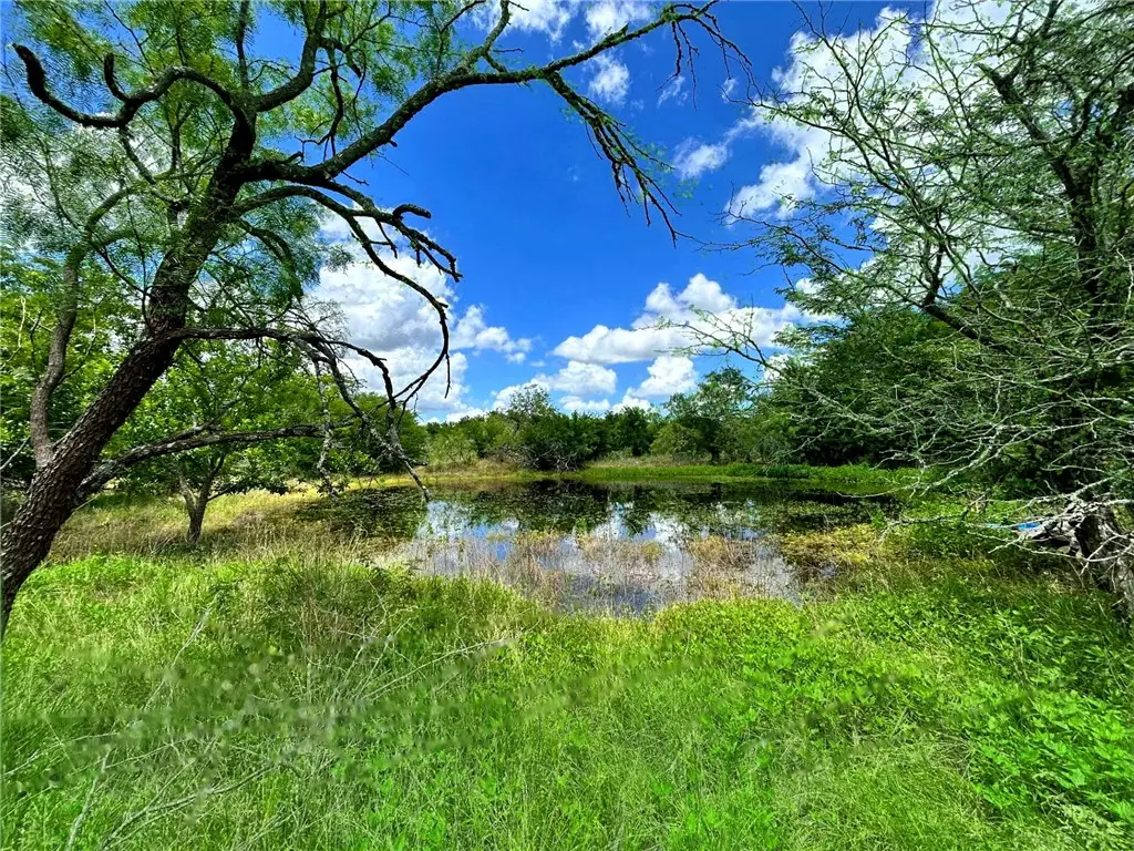 1127 Lcr 607, Mart, TX 76664 - #1