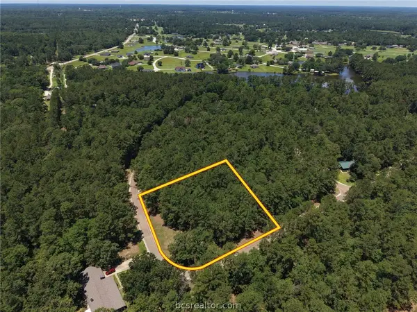 Lot 19 Bh Caroll Street, Trinity, TX 75862