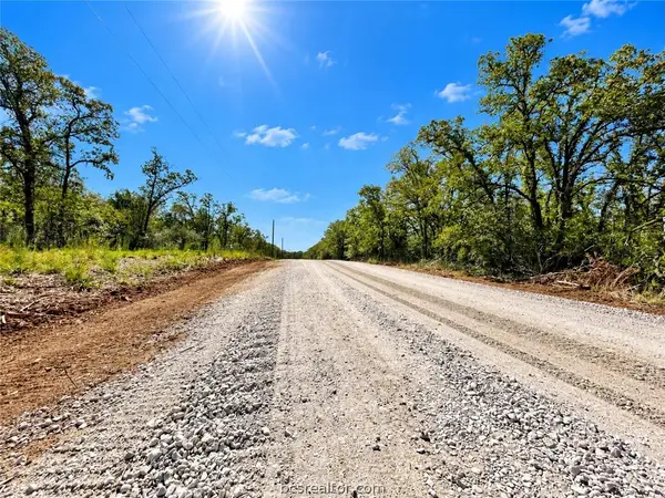 Lot 21-60 Meadow Street, Somerville, TX 77879