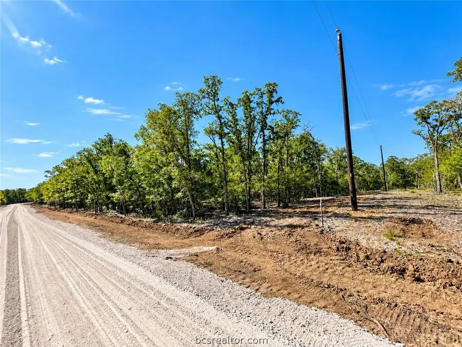 Lot 21-60 Meadow Street, Somerville, TX 77879 - #3