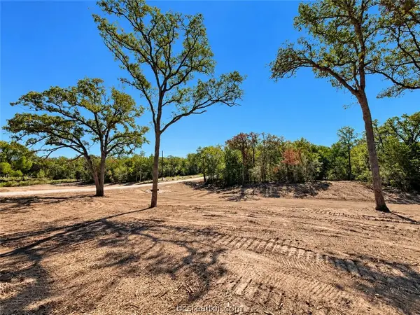 Lot 30-51 Meadow Street, Somerville, TX 77879