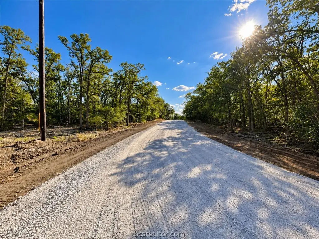 Lot 37-38 Meadow Street, Somerville, TX 77879 - #1