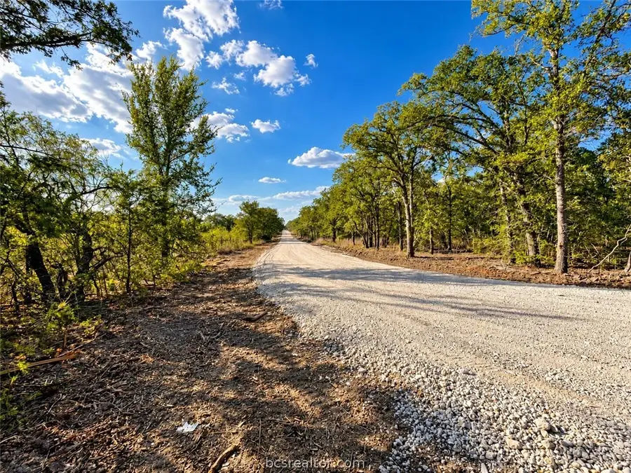 Lot 37-38 Meadow Street, Somerville, TX 77879 - #3