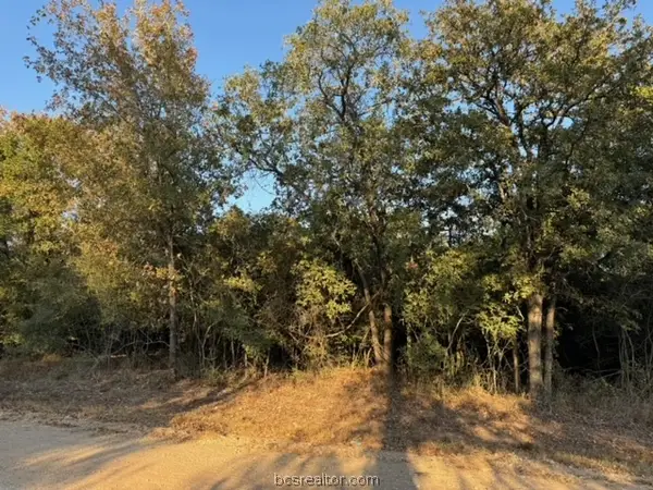 3387 Beaver Creek Road, Caldwell, TX 77836
