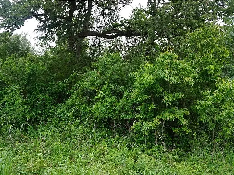 1500 E Yaupon, Somerville, TX 77879 - #3