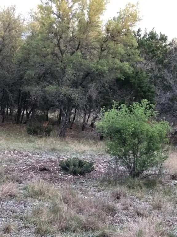 40 EF Whitetail Run, Uvalde, TX 78801 - #2