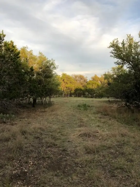 40 EF Whitetail Run, Uvalde, TX 78801 - #3