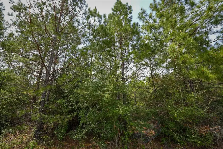 tbd Hwy 87 N Highway, Newton, TX 75966 - Image #2