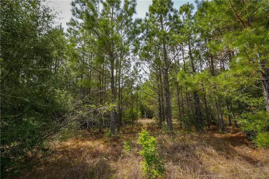 tbd Hwy 87 N Highway, Newton, TX 75966 - Image #3