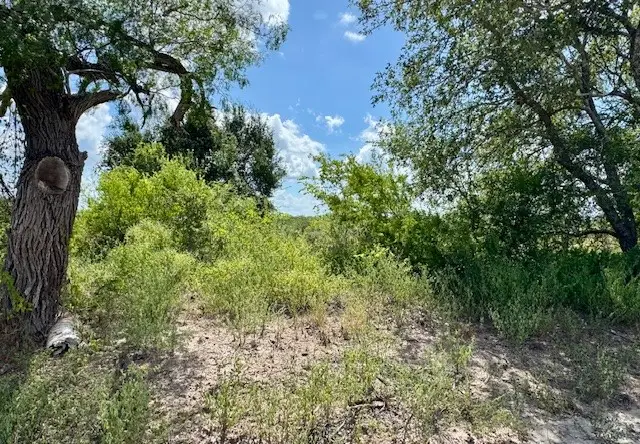 TBD W King, Tuleta, TX 78102 - Image #2