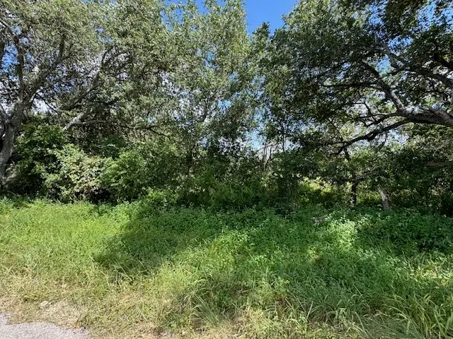 TBD W King, Tuleta, TX 78102 - Image #2