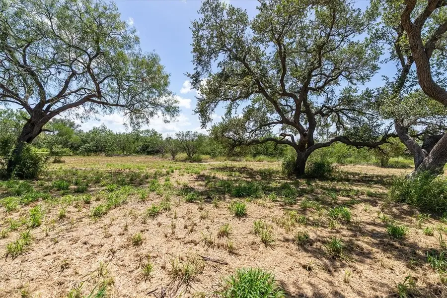 000 Off Hwy 181 S, Skidmore, TX 78389 - Image #2