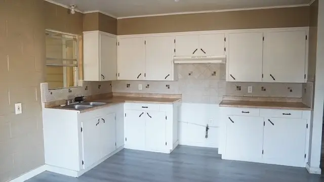 401 E Linar Street, Hebbronville, TX 78361 - Image #3