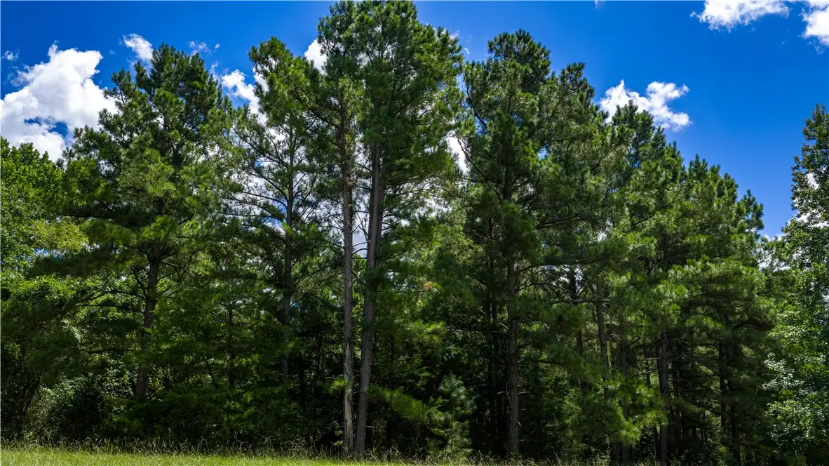 5756 Hamilton Hill Lane, Midway, TX 75852 - Image #1