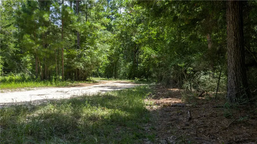 5756 Hamilton Hill Lane, Midway, TX 75852 - Image #3