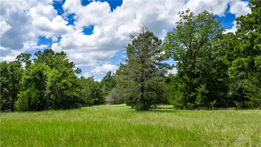 5688 Hamilton Hill Ln, Midway, TX 75852 - Image #2