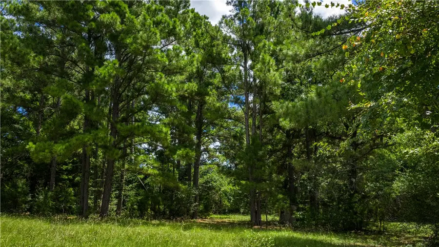 5688 Hamilton Hill Ln, Midway, TX 75852 - Image #3