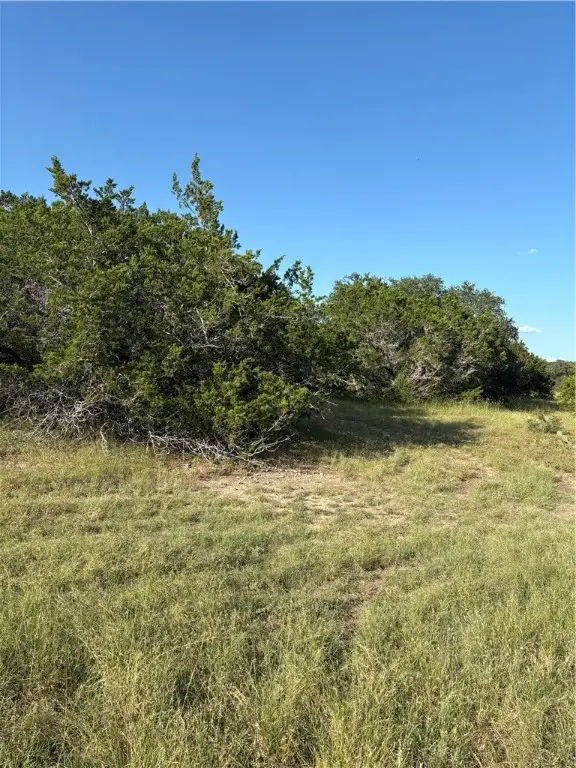 41 White Tail Run, Uvalde, TX 78801 - Image #1