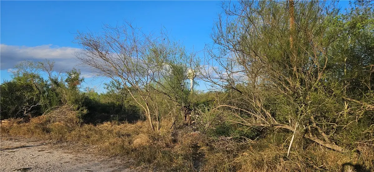 0 N 1st Street, Ben Bolt, TX 78342 - #1