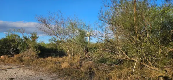 0 N 1st Street, , TX 78342