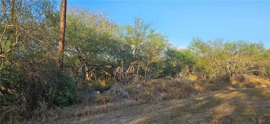 0 N 1st Street, Ben Bolt, TX 78342 - #2