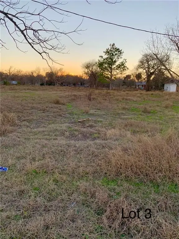 313 N. 4th St. (lot 3), Skidmore, TX 78389