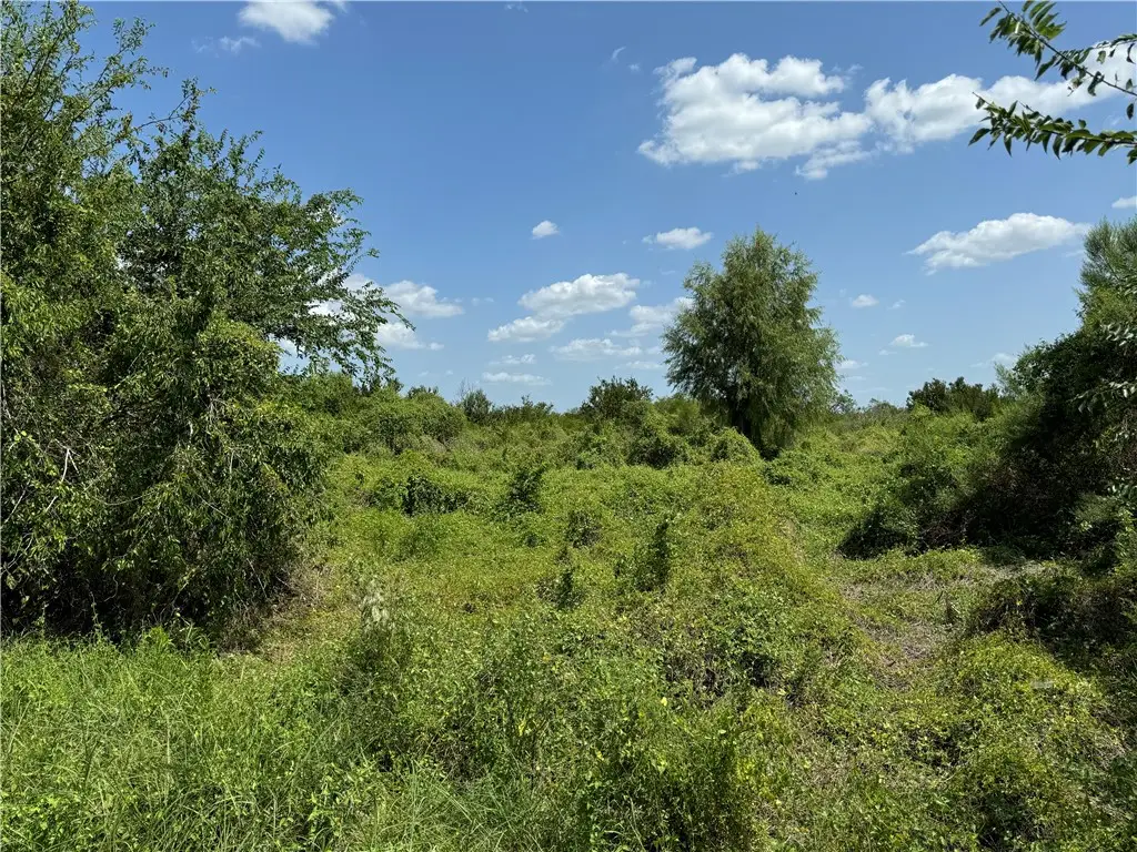 000 Deer Run Trace, Three Rivers, TX 78071 - #1