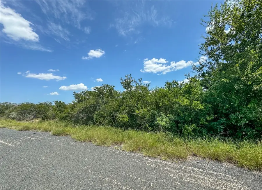 000 Deer Run Trace, Three Rivers, TX 78071 - #2