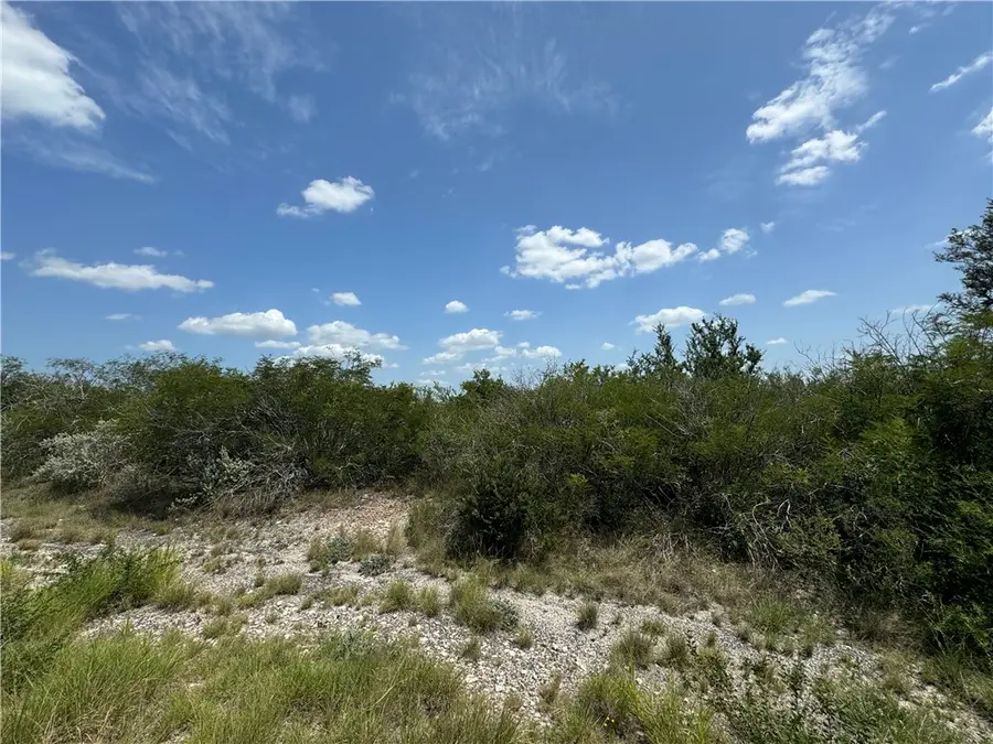 000 Deer Run Trace, Three Rivers, TX 78071 - #3