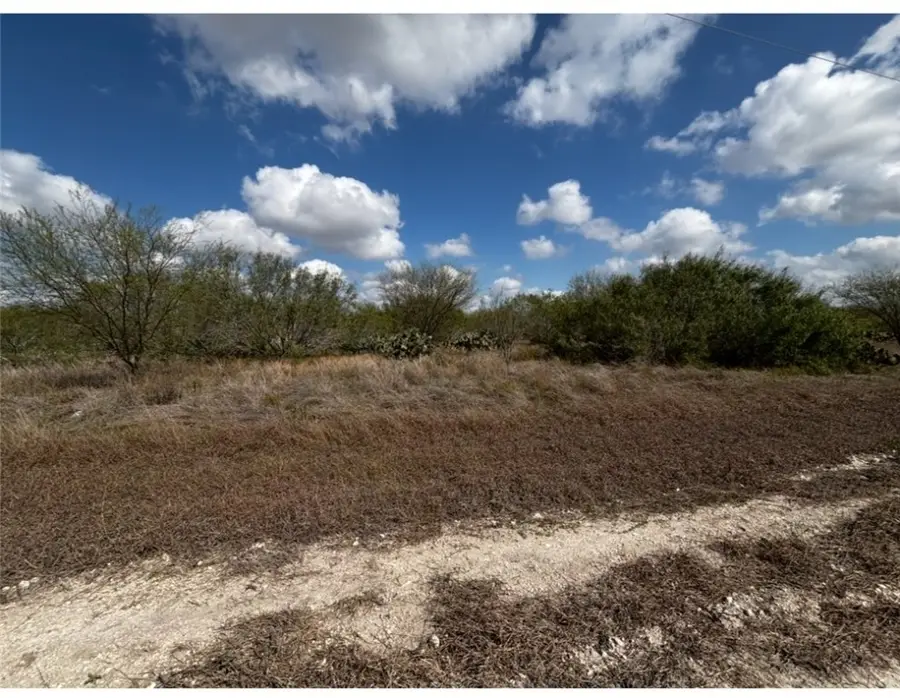 0 Fm-625, Alice, TX 78332 - Image #3