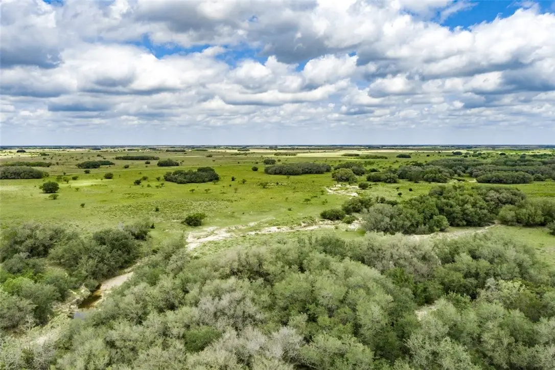 0 Welder Road, Goliad, TX 77963 - Image #1