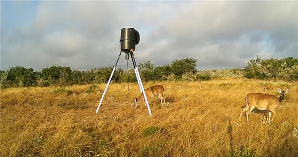 44 Ranch South Highway S, San Diego, TX 78384