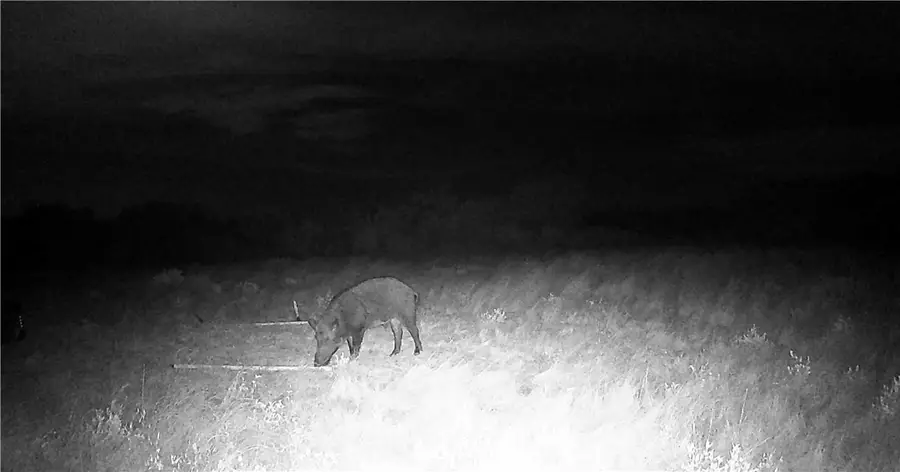 44 Ranch South Highway S, San Diego, TX 78384 - Image #3