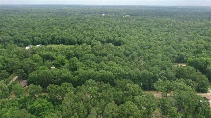 0 4 Lots Woodridge Dr,, Livingston, TX 77351 - Image #3