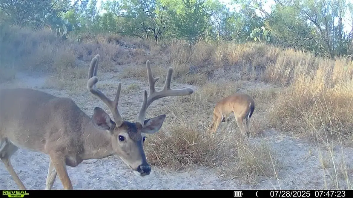 0 Cameron Lane, Fowlerton, TX 78021 - Image #1