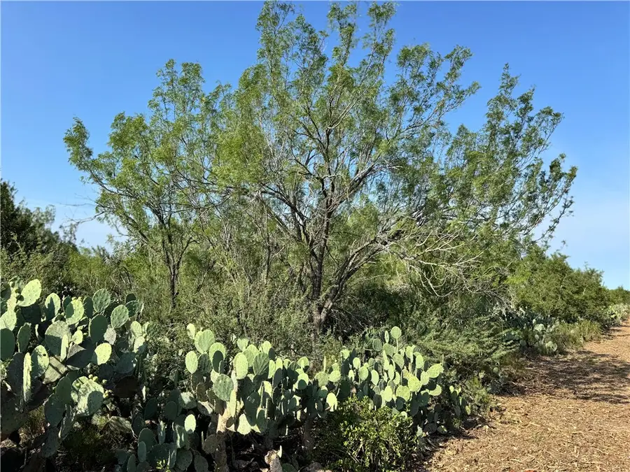 0 Cameron Lane, Fowlerton, TX 78021 - Image #2