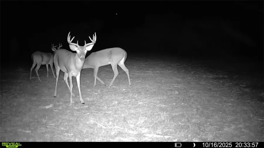 0 Cr 107, Runge, TX 78151 - Image #2