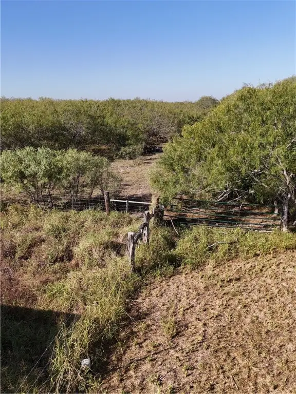 0 W Cr 2150, Kingsville, TX 78363 - Image #3