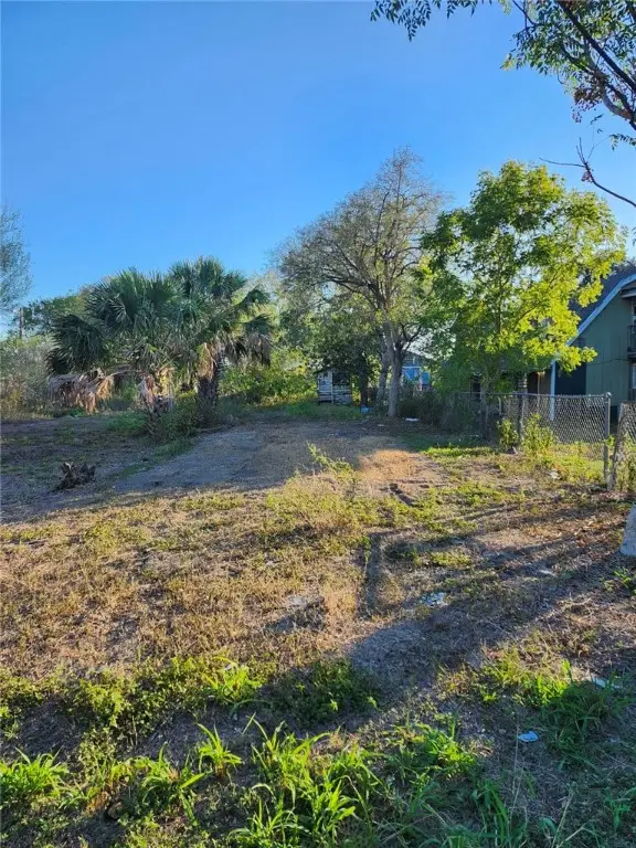 508 W Avenue B, Robstown, TX 78380 - Image #1