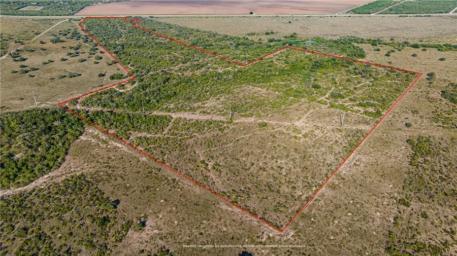 00 S Hwy 181, Skidmore, TX 78389 - Image #2