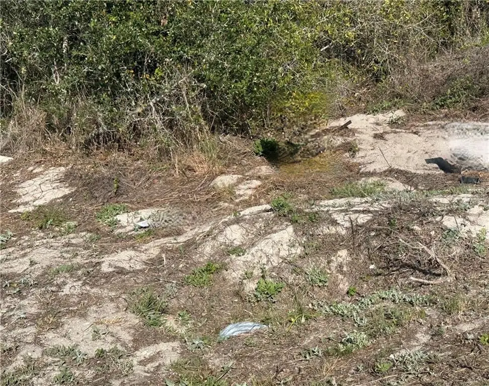 00 S 7th, Aransas Pass, TX 78336 - Image #1