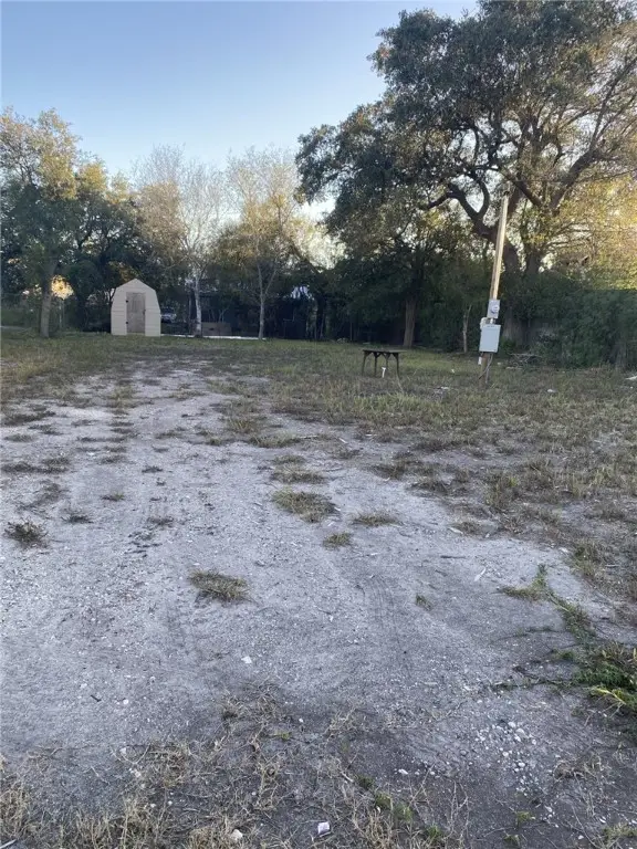 724 W Front Street, Alice, TX 78332