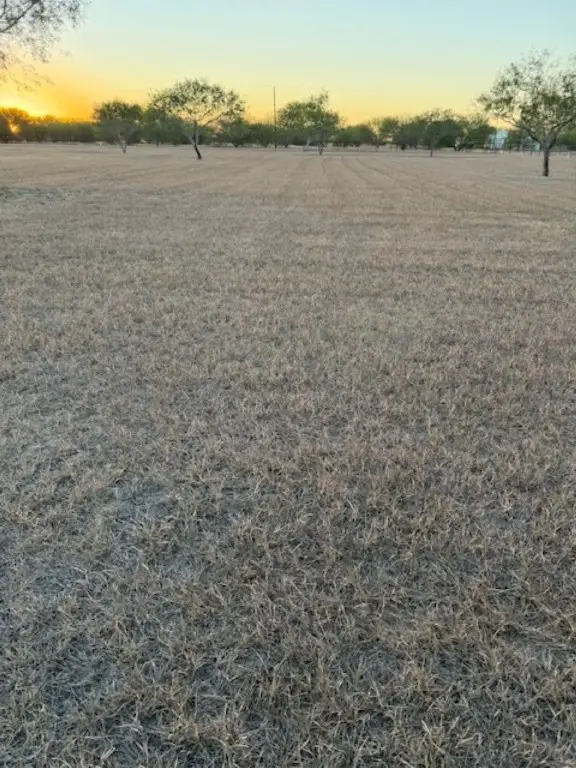 3872 Cobb Lane, Robstown, TX 78380 - Image #2