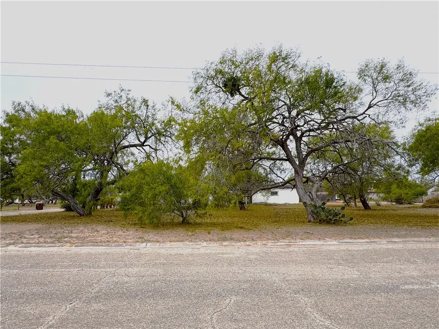700 W Ragland Avenue, Kingsville, TX 78363 - Image #2