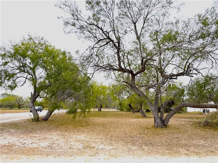 700 W Ragland Avenue, Kingsville, TX 78363 - Image #3