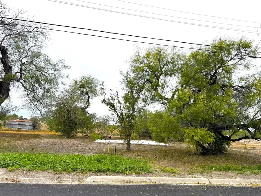 1218 E Lee Avenue, Kingsville, TX 78363 - Image #2
